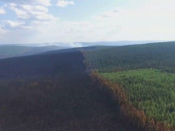 Дым от лесных пожаров в Сибири достиг Аляски и Канады