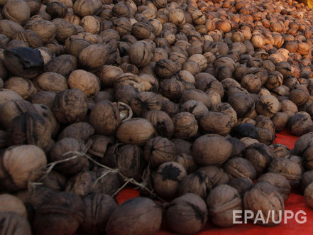 Генпрокуратура расследует действия 