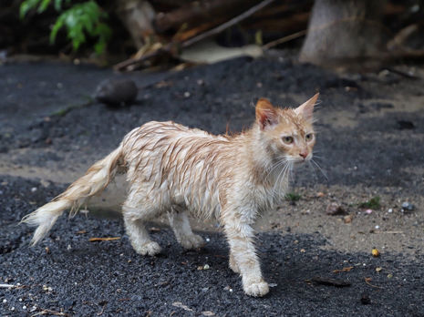 На Одессу обрушился сильный дождь: затоплено несколько улиц, возле автовокзала произошел сдвиг грунта. Фоторепортаж