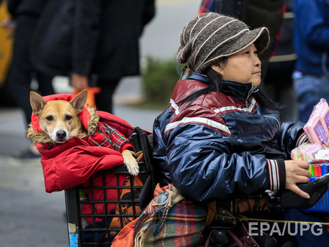 Жители Тайваня переживают самое сильное за последние 10 лет похолодание