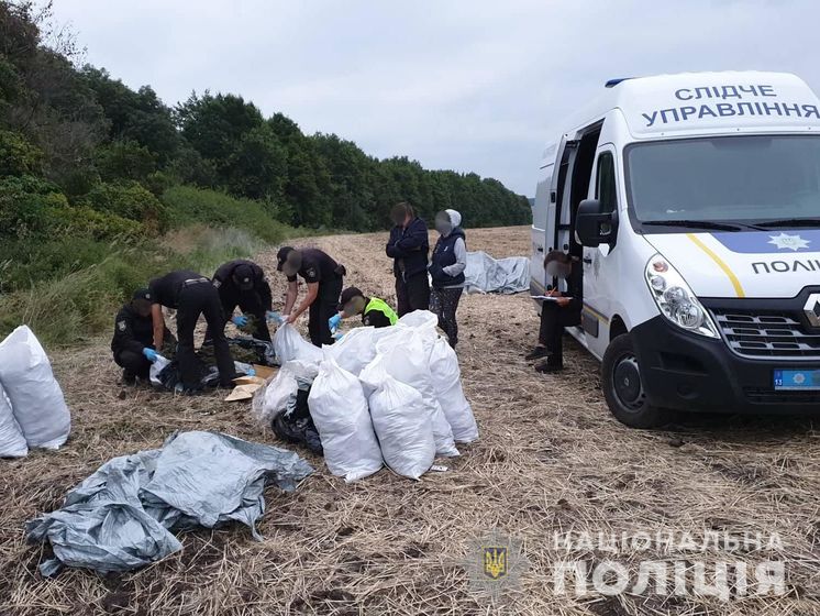 В лесополосе в Луганской области нашли 150 кг марихуаны – полиция