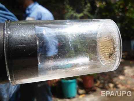 На американском континенте зафиксирована вспышка вируса Зика, поражающего мозг новорожденных