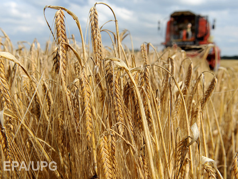 Минагрополитики: Украина экспортировала 24 млн тонн зерновых с июля 2015 года