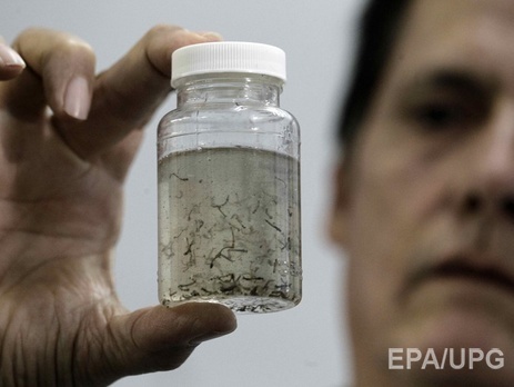 Американские ученые предупреждают об опасности пандемии вируса Зика