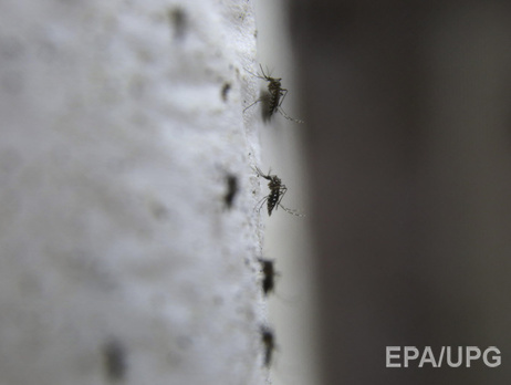 Санэпидемслужба: Опасности распространения вируса Зика в Украине нет