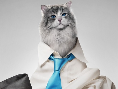 Вышел тизер фильма 