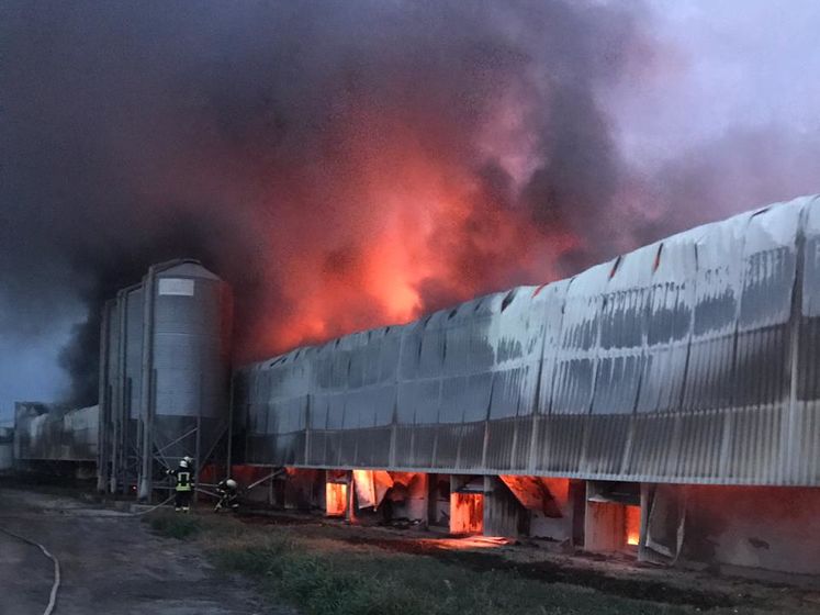 В Киевской области произошел пожар на птицефабрике &ndash; ГСЧС