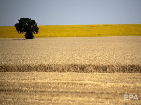 ﻿У НБУ заявили, що введення ринку землі може стати гарним кроком для банківської системи