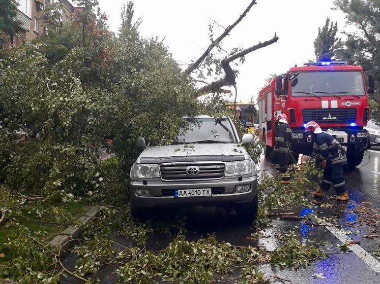 На Киев обрушился ливень: из-за падения деревьев повреждены минимум четыре автомобиля