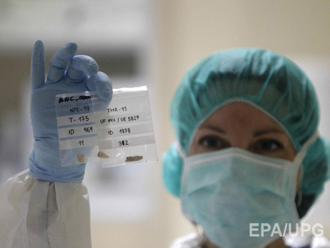 В Великобритании ученым разрешили модифицировать человеческие эмбрионы