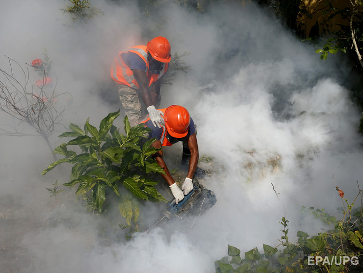 Гондурас объявил чрезвычайное положение из-за распространения лихорадки Зика