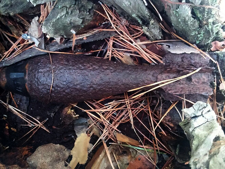 В Луганской области нацгвардейцы нашли мину времен Второй мировой войны