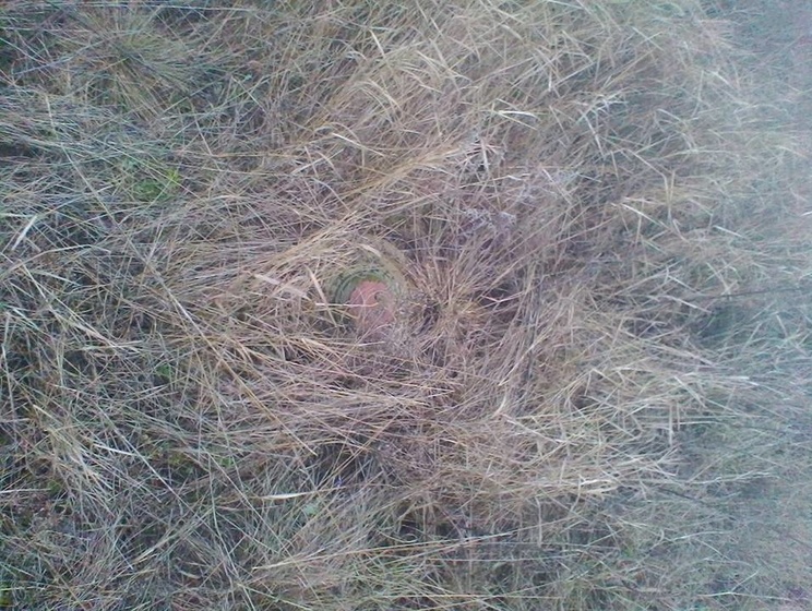 Нацгвардия: В районе Мироновского обнаружили 29 противотанковых мин, замаскированных сухой травой