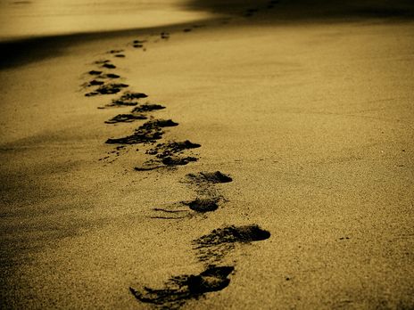 ﻿Вода на п'яти пляжах Одеси не відповідає нормам