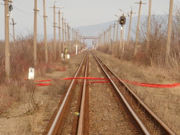 В Закарпатье вблизи украинско-румынской границы найден муляж взрывного устройства
