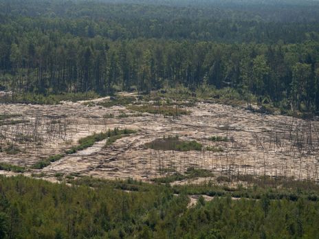 ﻿Прокуратура Житомирської області відкрила кримінальне провадження через імовірну участь правоохоронців у схемах незаконного видобування бурштину