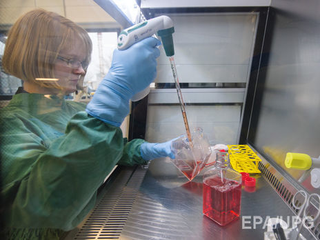 ВОЗ готовится к испытаниям вакцины против вируса Зика