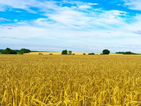 ﻿До середини тижня в низці областей України буде +32...+37 °C – синоптикиня