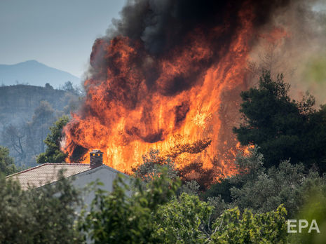 В Турции бушуют лесные пожары