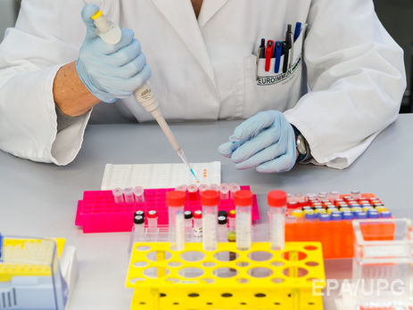 В Китае ученые определили два штамма вируса Зика