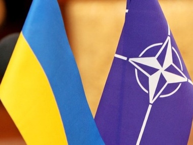 В НАТО еще не решили, что делать с Украиной