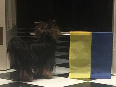 Аккаунт Орлуши заблокировали за фотографию собачки с украинским флагом