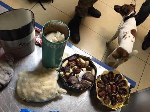 Прокуратура сообщила о подозрении пяти лицам, которые организовали и перевезли в Украину 11 кг кокаина стоимостью почти $3 млн