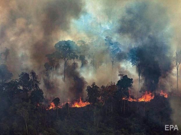 ﻿Лідери G7 вирішили виділити $22 млн на боротьбу з лісовими пожежами в Амазонії