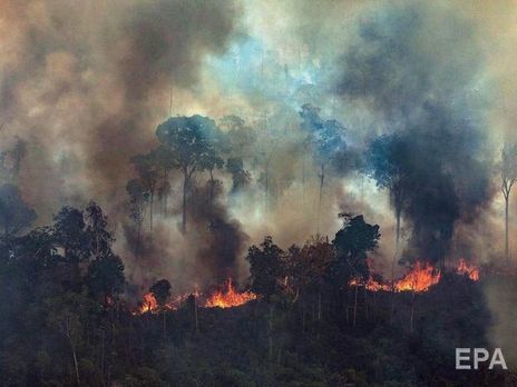 Лидеры G7 решили выделить $22 млн на борьбу с лесными пожарами в Амазонии