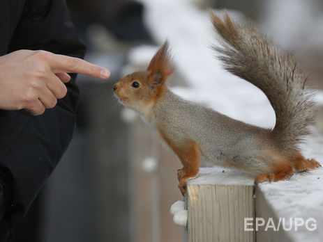 В Киеве за прошедшую зиму метеорологи зафиксировали 31 температурный рекорд