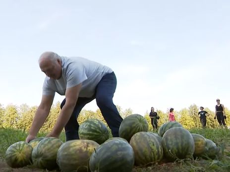 Лукашенко собрал арбузы на своем приусадебном участке. Видео