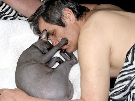 Алибасов показал, как бы выглядел 