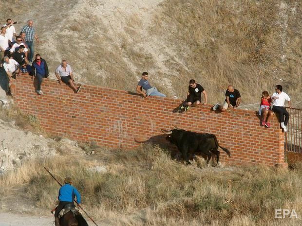﻿На фестивалі в Іспанії бик смертельно поранив глядача