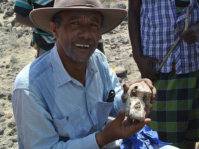 ﻿Знайдений в Ефіопії череп австралопітека може спростувати теорію еволюції пращурів людини – учені