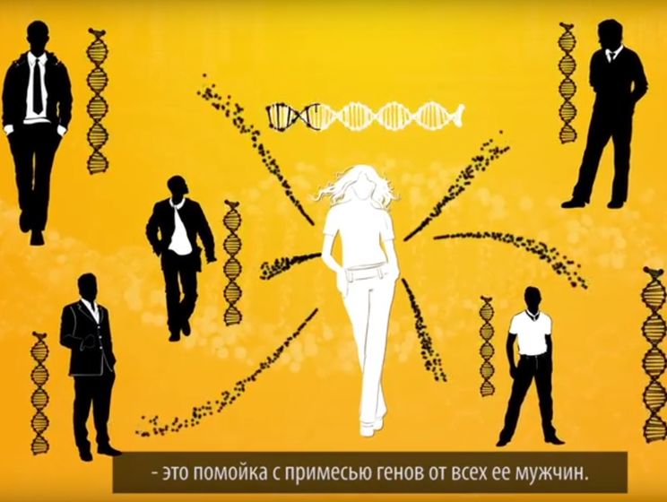 Прокуратура Краснодарского края проверит школу, в которой показывали фильм о девственницах