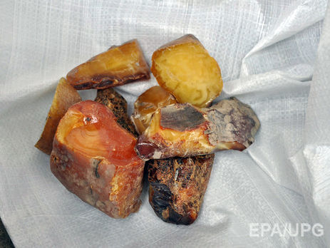 Власти Ровенской области не справляются с проблемой нелегальной добычи янтаря