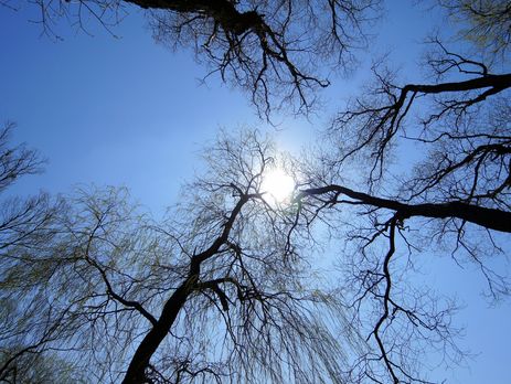 В Украине потеплеет