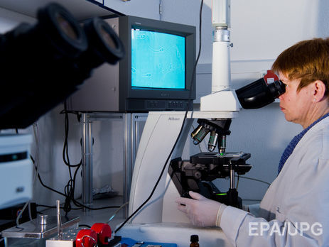 Ученым удалось удалить код ВИЧ из генома организма