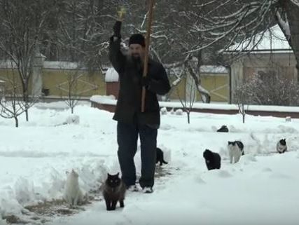 Российский монастырь показал шествие котов 