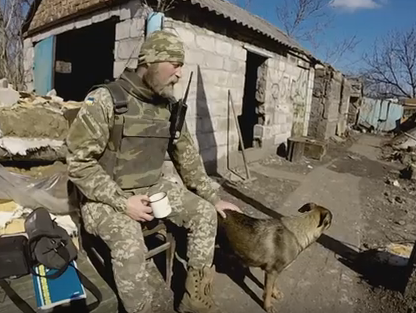 Как собака Ника спасает украинских бойцов от артобстрелов и чужаков. Видео