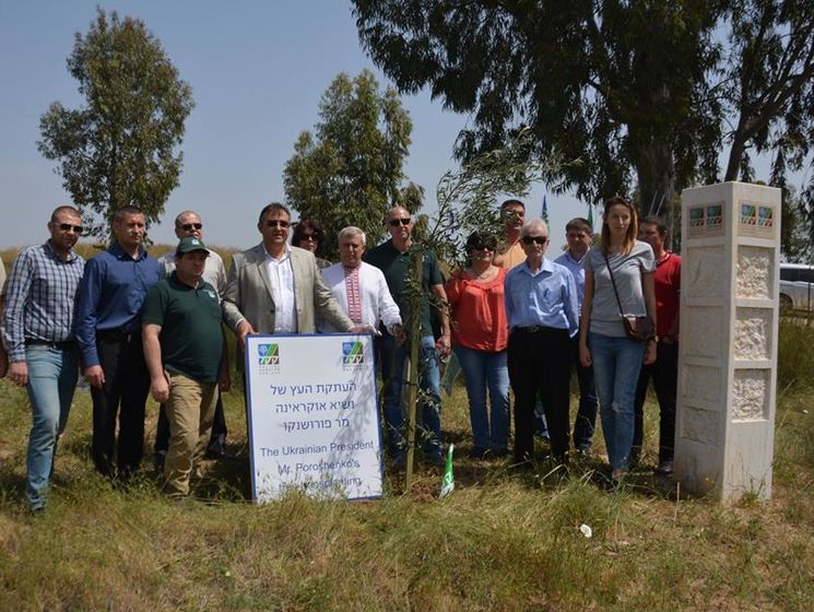 В Израиле высадили первые деревья "Леса Украины"
