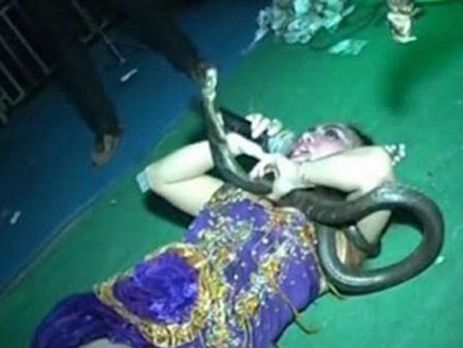 Певица Бьюл умерла на сцене от укуса королевской кобры