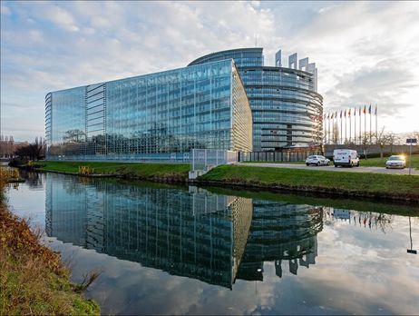 На момент работы в Европарламенте у подозреваемого не было судимости