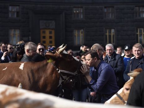 Ляшко целовался с коровами под Кабмином. Фоторепортаж