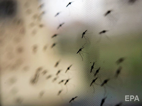 В Запорожье зафиксировали два случая малярии