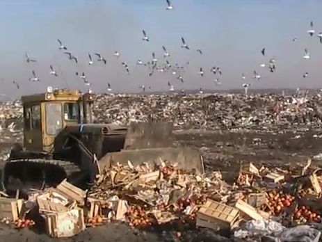 В Туле уничтожили 22 тонны украинских яблок