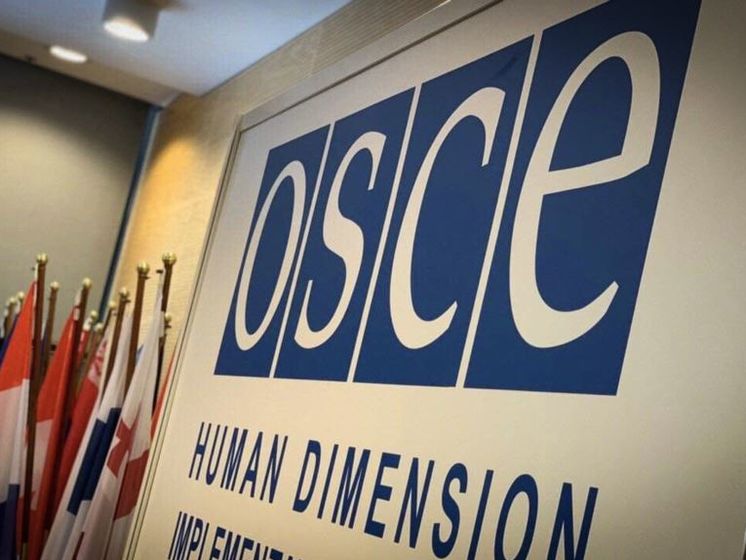 Украинская делегация, которая покинула заседание ОБСЕ из-за заявлений о "российском Крыме", решила вернуться к работе