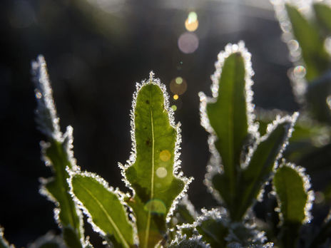 ﻿22 вересня в Україні очікують на потепління – Укргідрометцентр