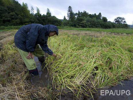 Японцы хотят закупить для своих ферм беспилотные тракторы
