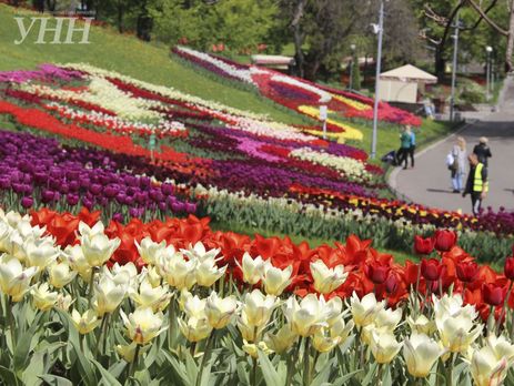 Выставка тюльпанов в Киеве за выходные собрала около 7 тыс. гостей. Фоторепортаж